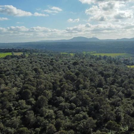 Magnifica Villa Tranquila En El Centro De Mallorca Biniali  Eksteriør bilde